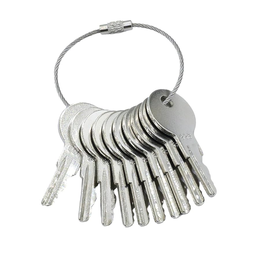 Amazon.com: PLENTZOM Ignition Switch Key 642628 556